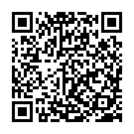 QR code for JPZ389