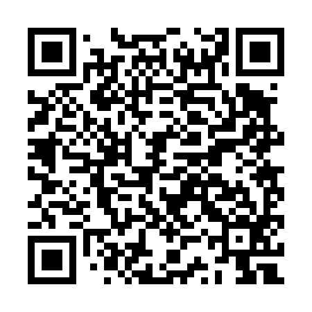 QR code for JSR496