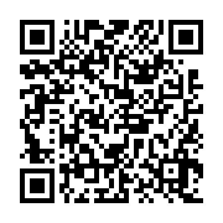 QR code for LAN636