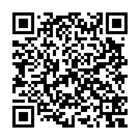 QR code for LAY028