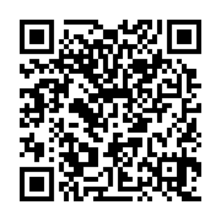 QR code for LBN335