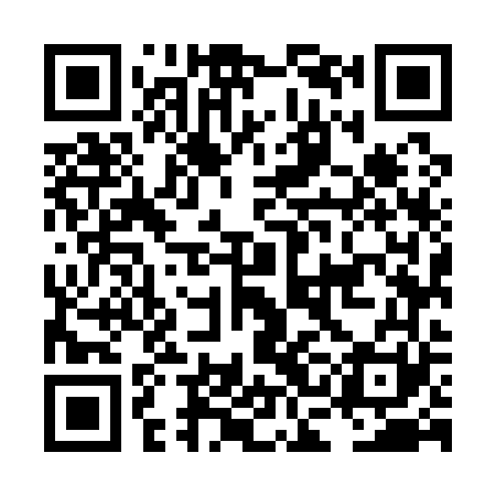 QR code for LCM161