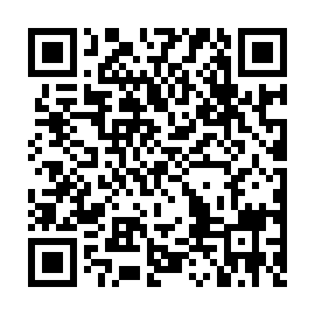 QR code for LDF919