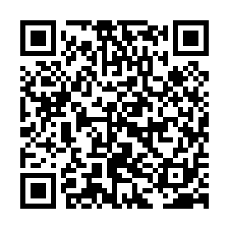 QR code for LDI011