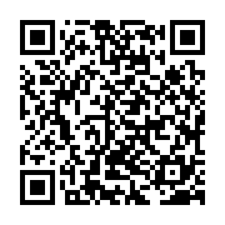 QR code for LDJ335