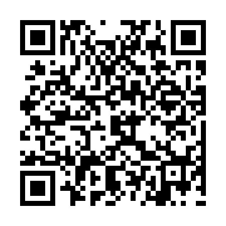QR code for LDV038