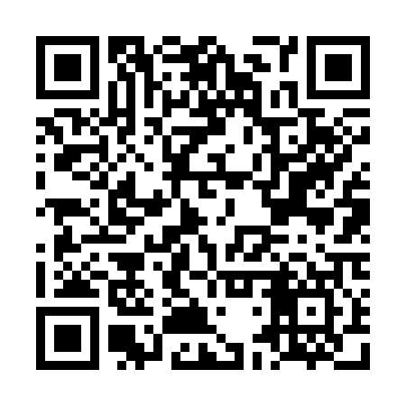 QR code for LDV307