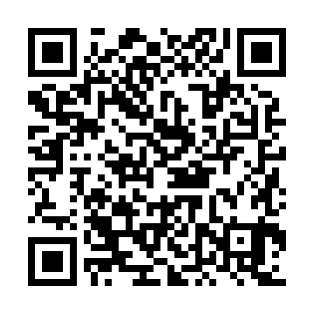 QR code for LDZ881