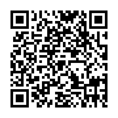 QR code for LEE319