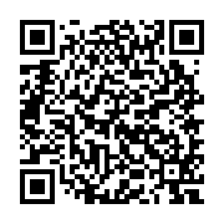 QR code for LEE395