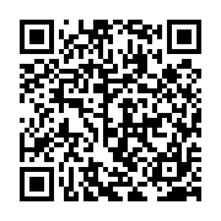 QR code for LEM517