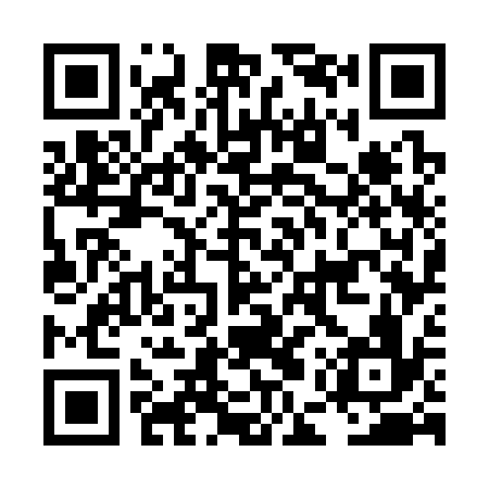 QR code for LEW336