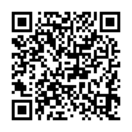QR code for LEZ951