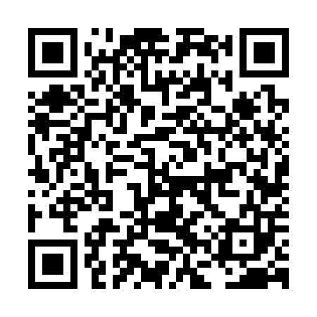 QR code for LFV303