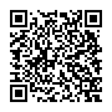 QR code for LHN636