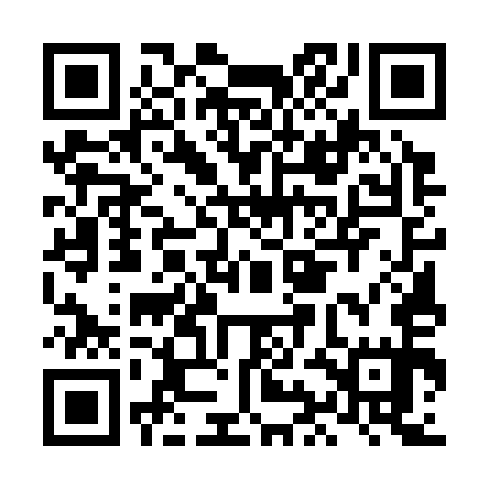QR code for LIE355