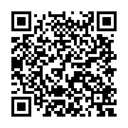 QR code for LII509