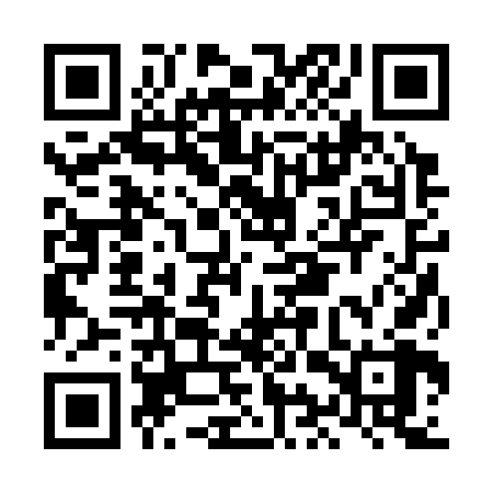 QR code for LIR368