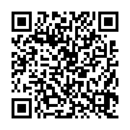 QR code for LIR667