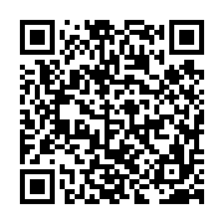 QR code for LIZ616