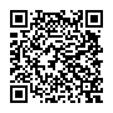 QR code for LLM451