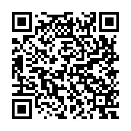 QR code for LLQ953