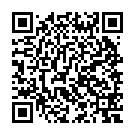 QR code for LMZ298