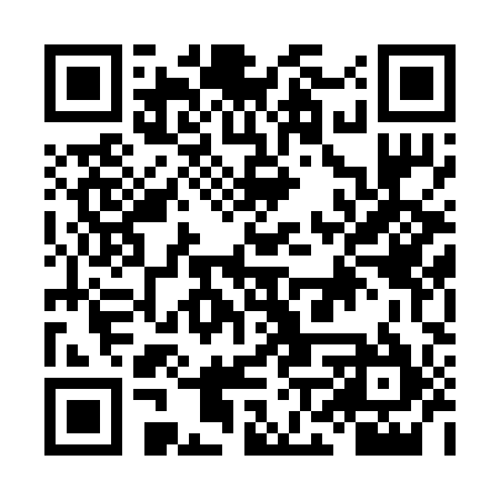 QR code for LNT295