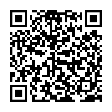 QR code for LNY690