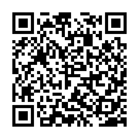 QR code for LPV378