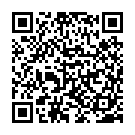 QR code for LSI261