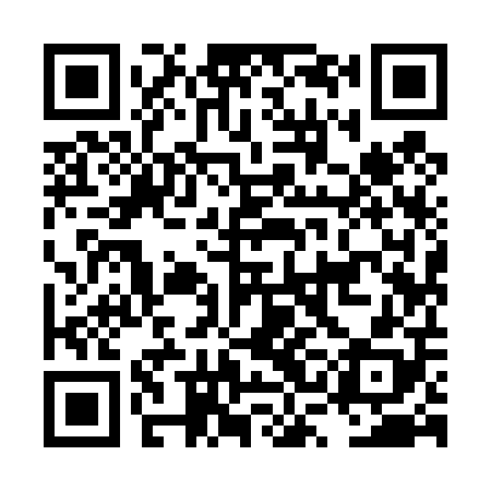 QR code for LSI408