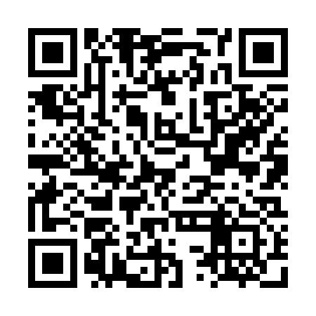 QR code for LSN333