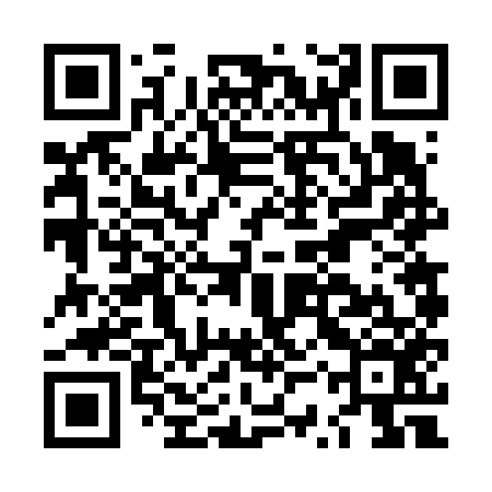 QR code for LSV656