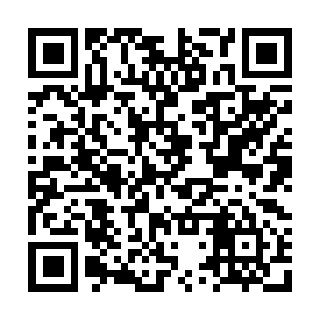 QR code for LTZ295