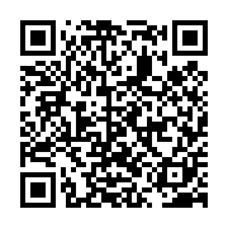 QR code for LUG401