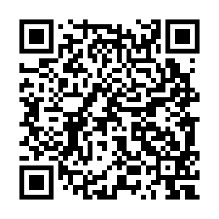QR code for LUL393