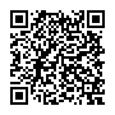 QR code for LUM500