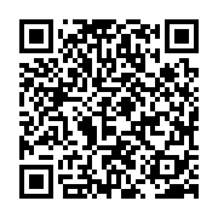 QR code for LUZ379