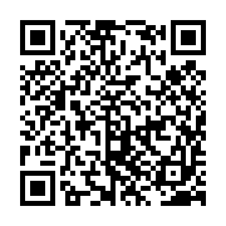 QR code for LVI493