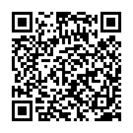 QR code for LVV493