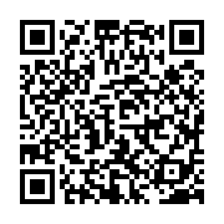 QR code for LVZ519