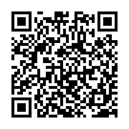 QR code for LYS294