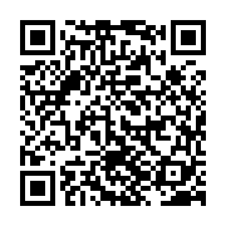 QR code for LZI969