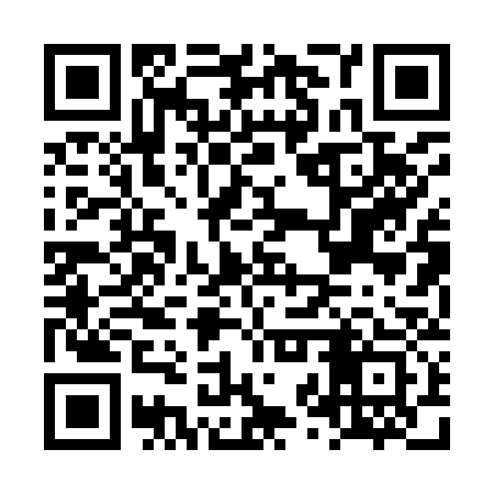 QR code for LZP933