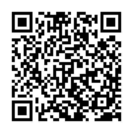 QR code for LZR541