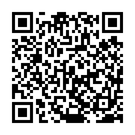 QR code for LZX613