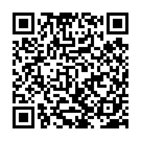 QR code for LZY601
