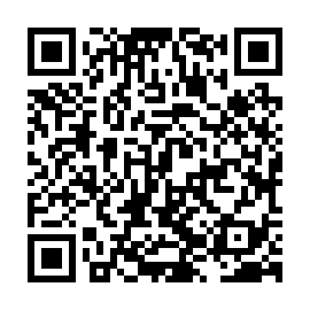 QR code for LZZ239