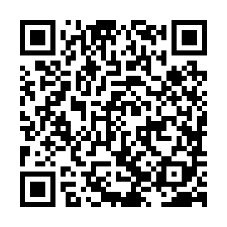 QR code for LZZ289